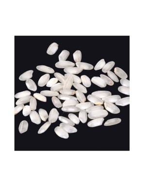 Arroz Carnaroli italiano, el mejor para el risotto