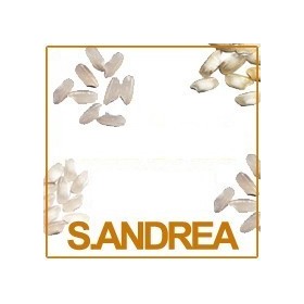 Sant'Andrea