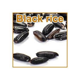 Black Rice