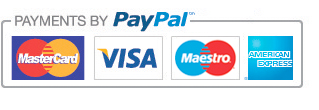 pagamenti con paypal